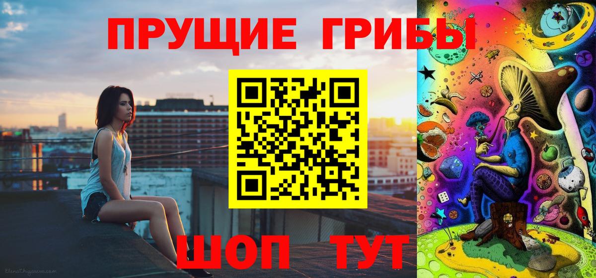 Псилоцибиновые грибы Psilocybine cubensis Можга