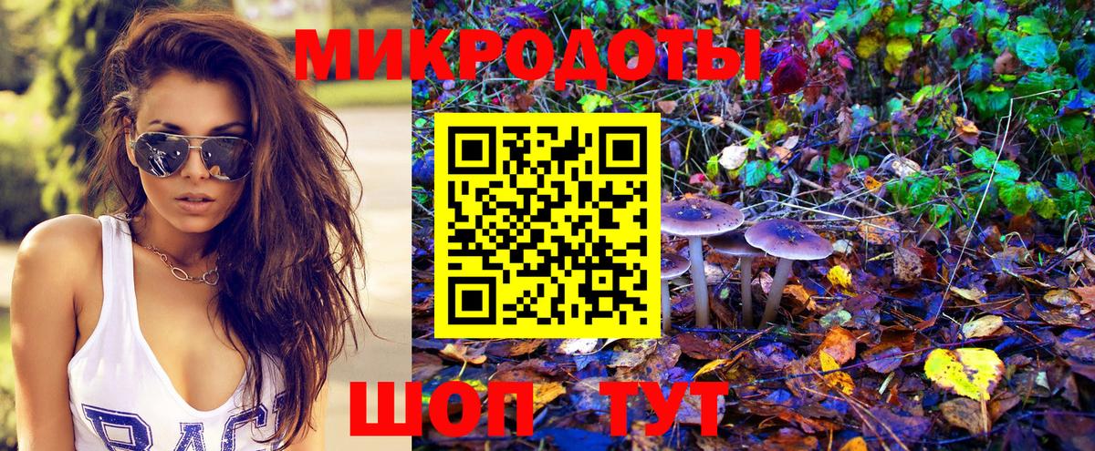 Можга  Псилоцибиновые грибы GOLDEN TEACHER  Вход с VPN  Псилоцибиновые грибы Psilocybe 